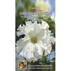 Петунія. Снігова королева.