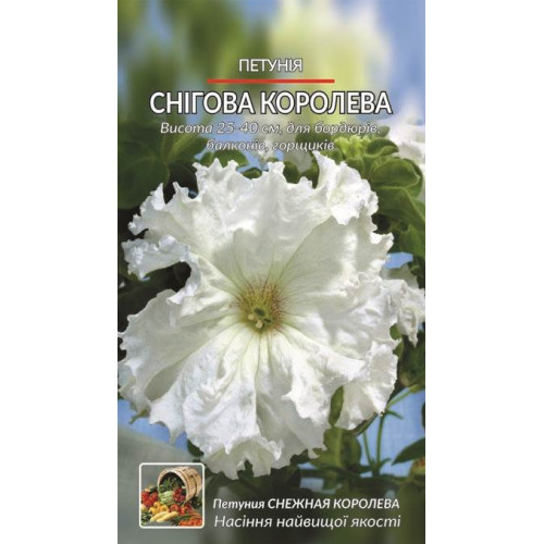 Петунія. Снігова королева. — насіння, Квіти