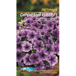 Петунія. Бузковий килим.