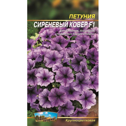 Петунія. Бузковий килим. — насіння, Квіти
