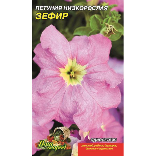 Петуния. ЗефирF1 — насіння, Квіти