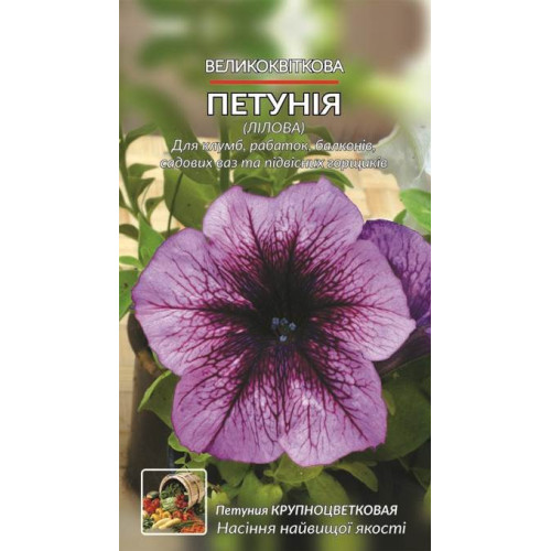 Петунія Великокаіткова — насіння, Квіти