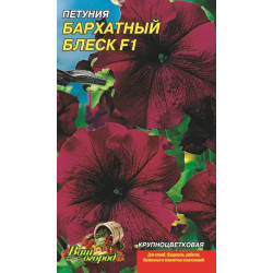 Петунія. Бархатний блиск