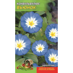 Вьюнок. Конвульвулюус