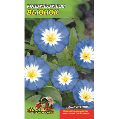 Вьюнок. Конвульвулюус — насіння, Квіти