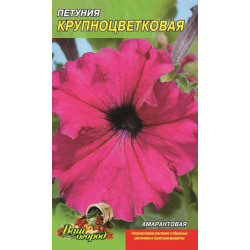 Петунія крупноцвітна