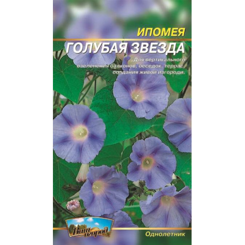 Іпомея Голуба зірка — насіння, Квіти