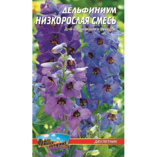 Дельфініум низькорослий — насіння, Квіти