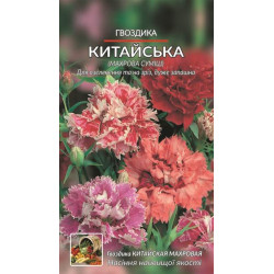 Гвоздика Китайська
