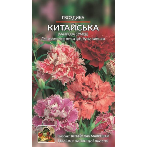 Гвоздика Китайська — насіння, Квіти