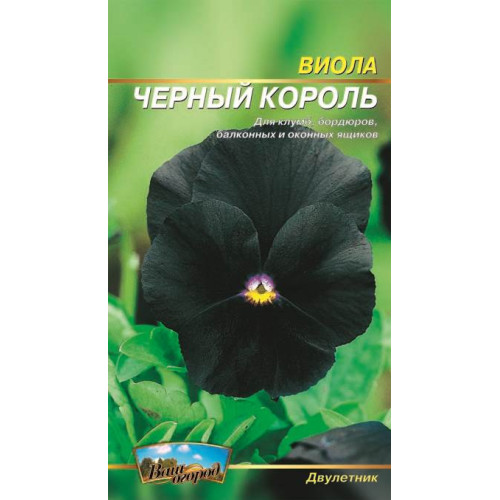 Віола. Чорний король. — насіння, Квіти