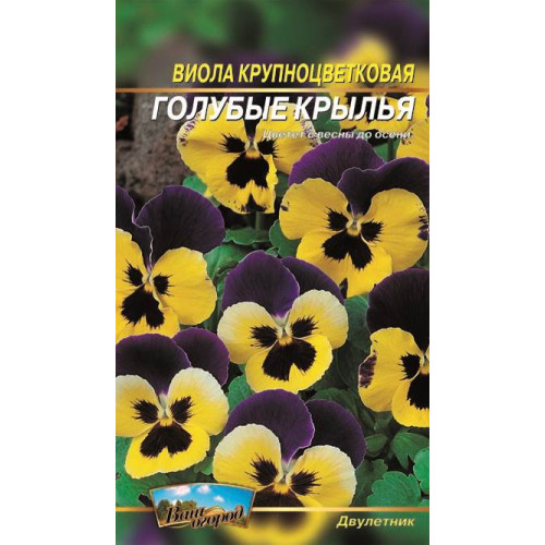 Віола. Блакитні крила. — насіння, Квіти