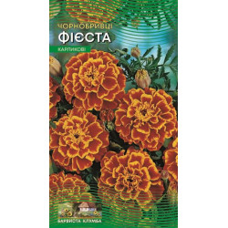 Чорнобривці Фієста