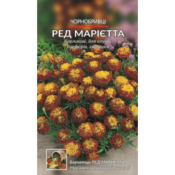 Ред Марієта