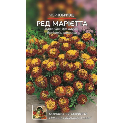 Ред Марієта — насіння, Квіти