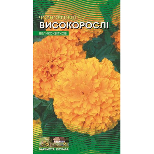 Чорнобривці високорослі — насіння, Квіти