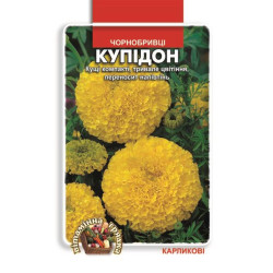 Чорнобривці Купідон