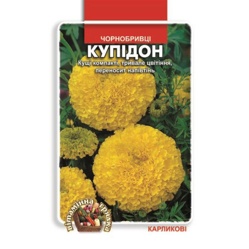 Чорнобривці Купідон — насіння, Квіти