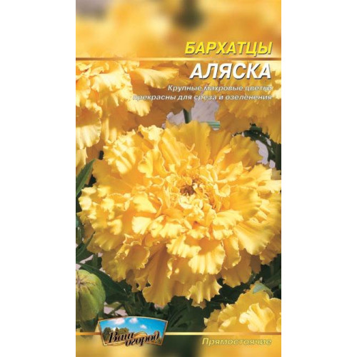 Чорнобривці Аляска. — насіння, Квіти