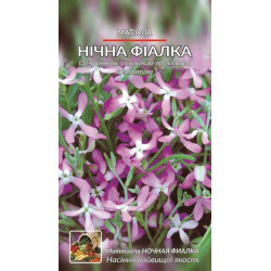 Матиола. Нічна фіалка.