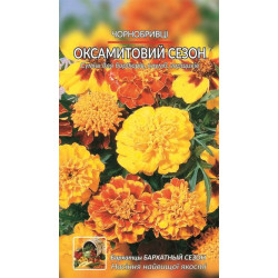 Чорнобривці. Оксамитовий сезон