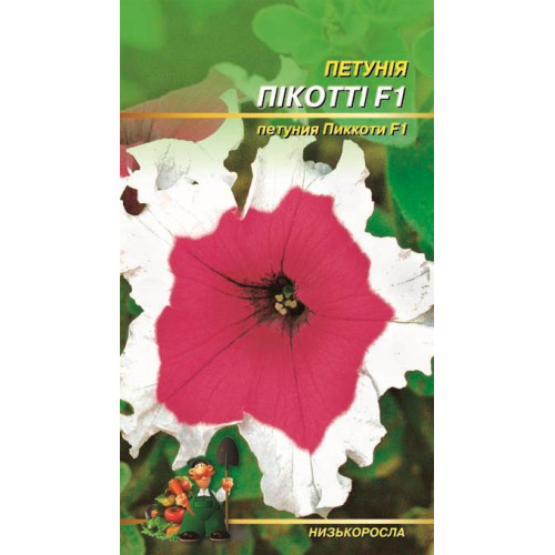 Пикотті F1 — насіння, Квіти