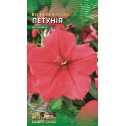 Петунія великоквіткова.