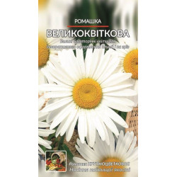 Ромашка великоквіткова.