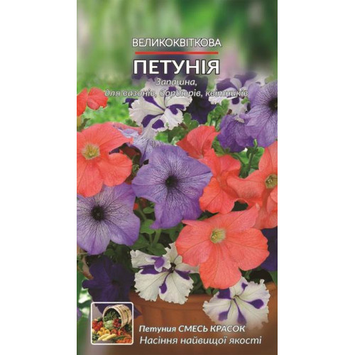 Петунія великоквіткова — насіння, Квіти