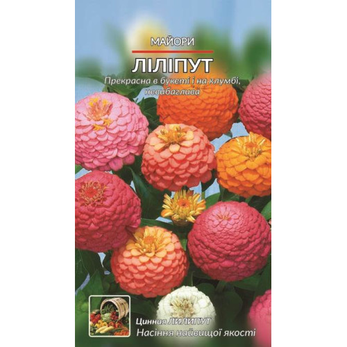 Майори Ліліпут — насіння, Квіти