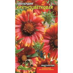 Гайлардія великоквіткова