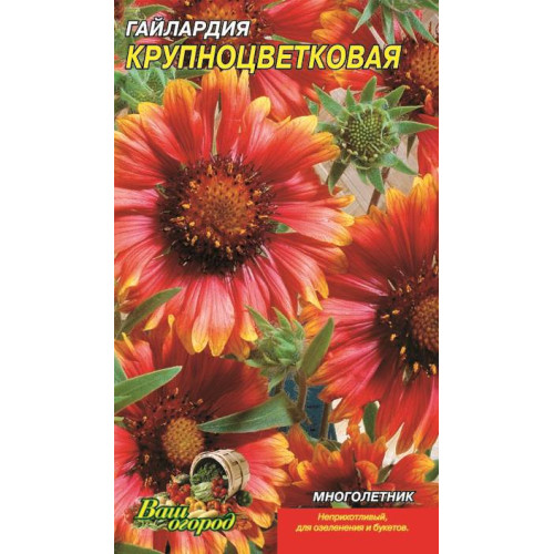 Гайлардія великоквіткова — насіння, Квіти