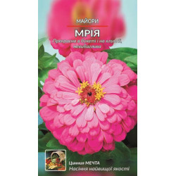 Майори. Мрія.