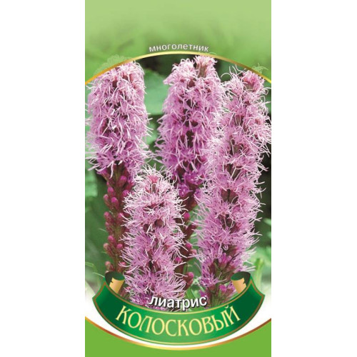 Ліатрис — насіння, Квіти