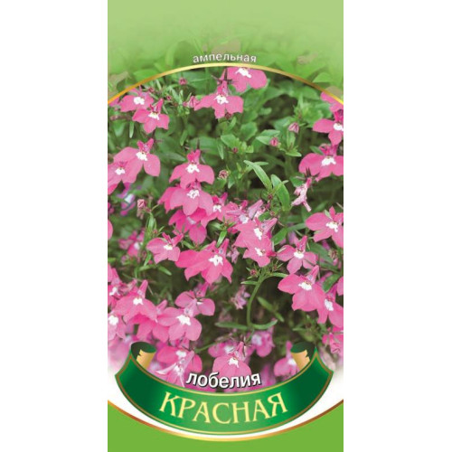 Лобелія — насіння, Квіти