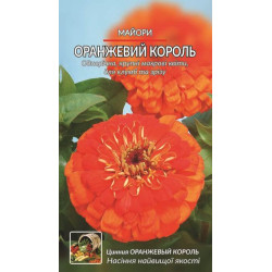 Майори Оранжевий король