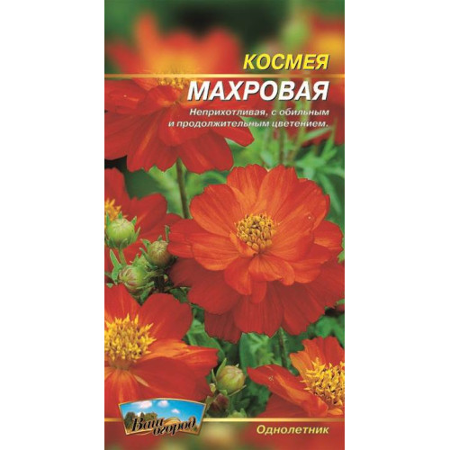 Космея махрова — насіння, Квіти