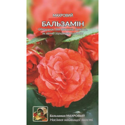 Бальзамів махровий