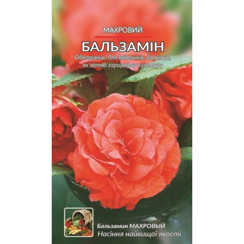 Бальзамів махровий — насіння, Квіти