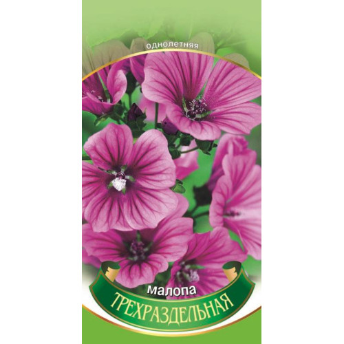 Малопа — насіння, Квіти