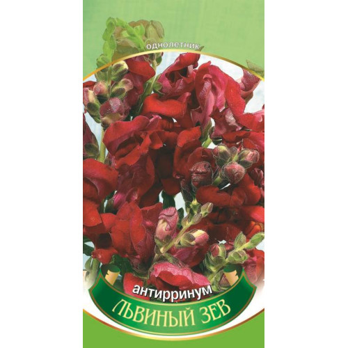 Антіріум, Ротики садові — насіння, Квіти