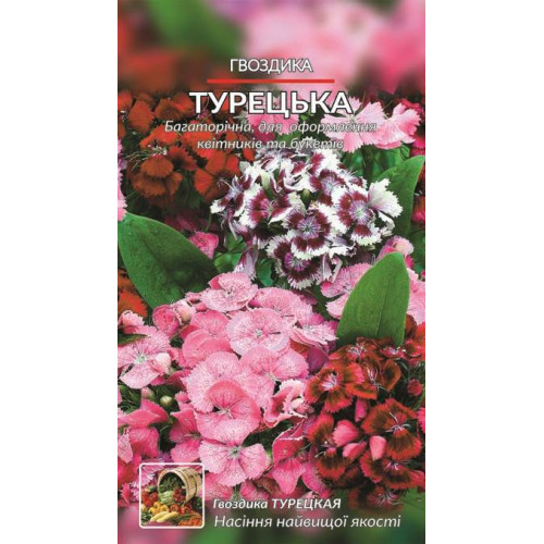 Гвоздика Турецька — насіння, Квіти
