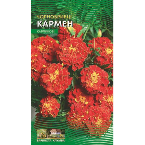 Чорнобривці Кармен — насіння, Квіти