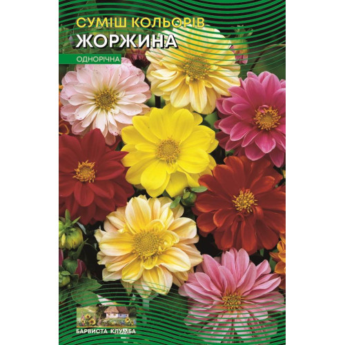 Жоржина — насіння, Квіти