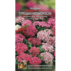 Гвоздика. Турецька