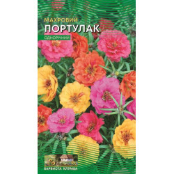Портулак махровий