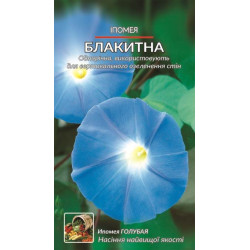 Іпомея. Блакитна