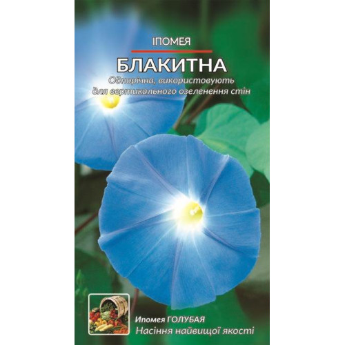 Іпомея. Блакитна — насіння, Квіти