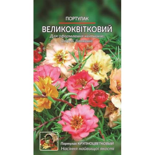 Портулак великоквітковий — насіння, Квіти