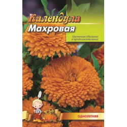 Календула махрова.